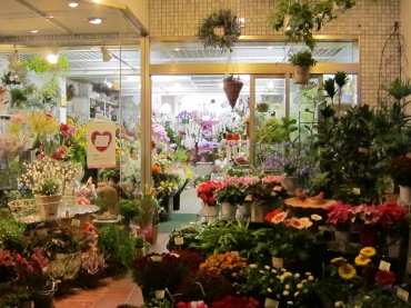 「フルール　ブランシェ」　（広島県広島市南区）の花屋店舗写真2